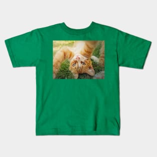 Playful orange kitten Kids T-Shirt